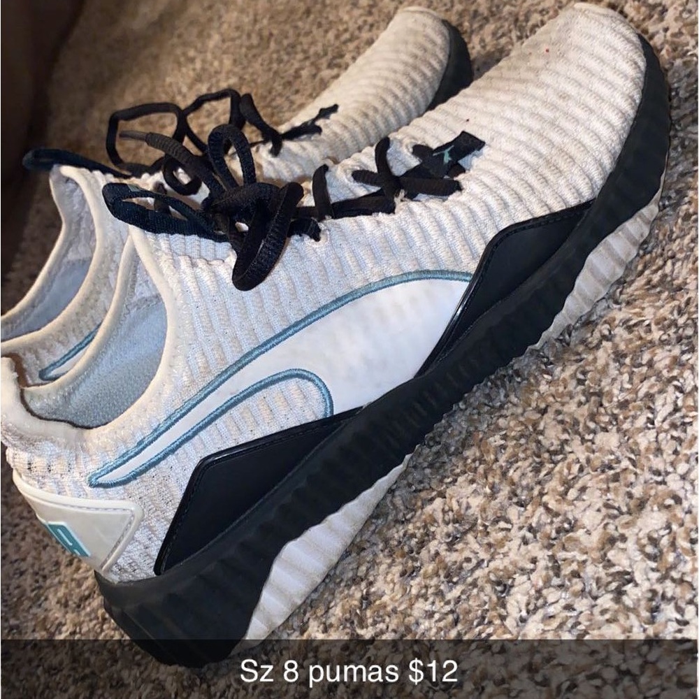 White pumas